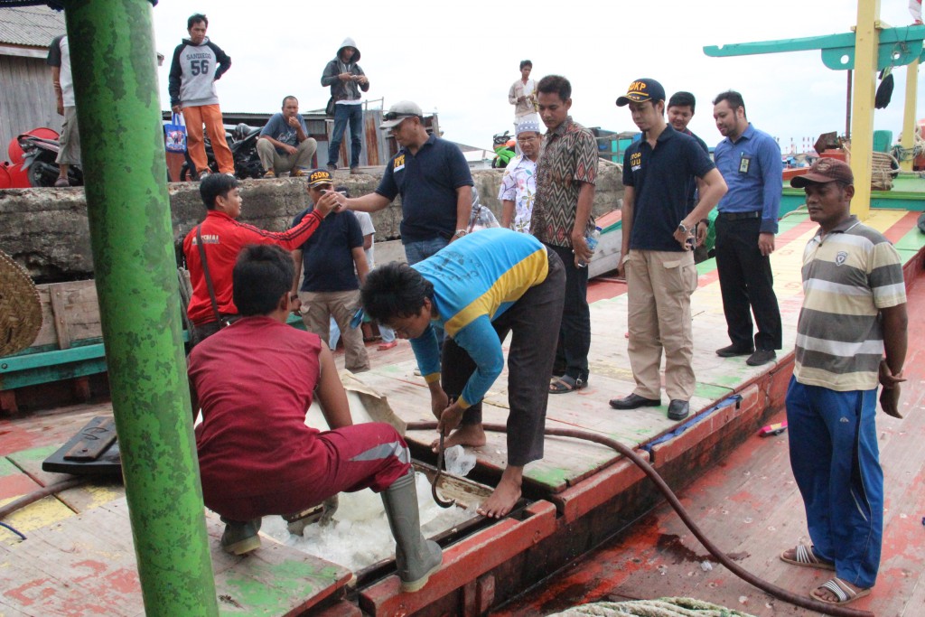 Lelang Ikan Sukses dan Terjual di Hari Libur