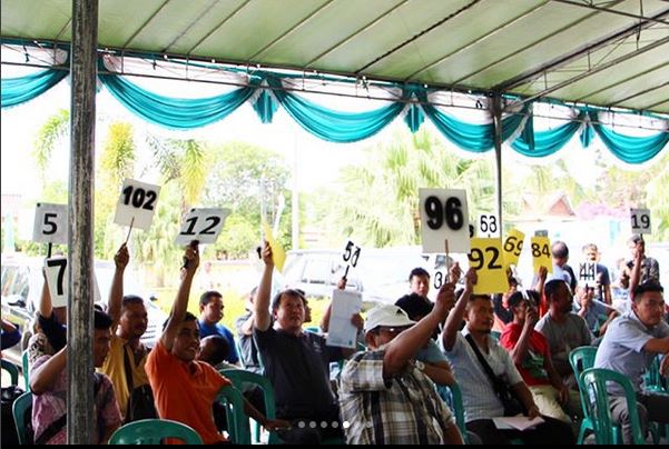 Ratusan Orang Ikuti Lelang Kendaraan Milik Pemprov Babel