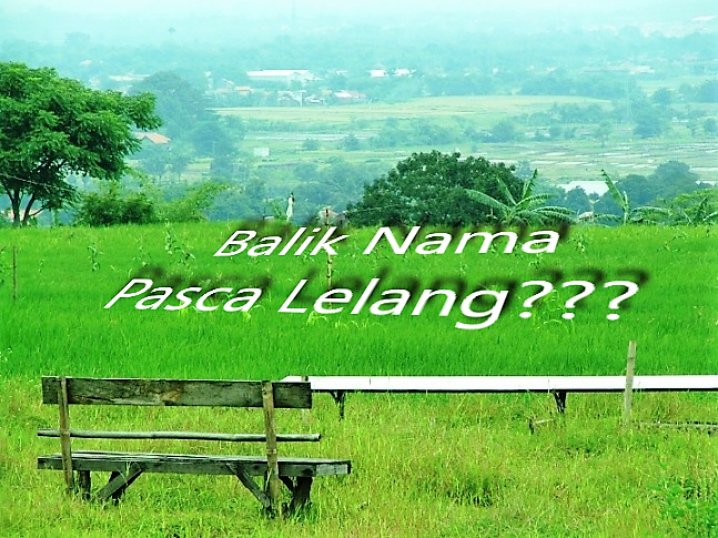 Hambatan Proses Balik Nama Objek Lelang Hak Tanggungan Tanah Sawah (Pertanian)