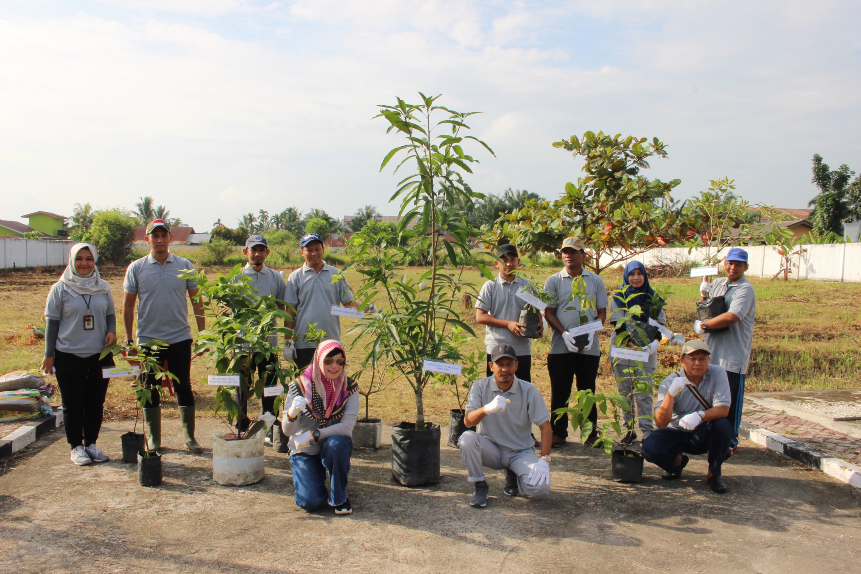 Go Green &ndash; KPKNL Dumai Tanam Pohon di Area Kantor