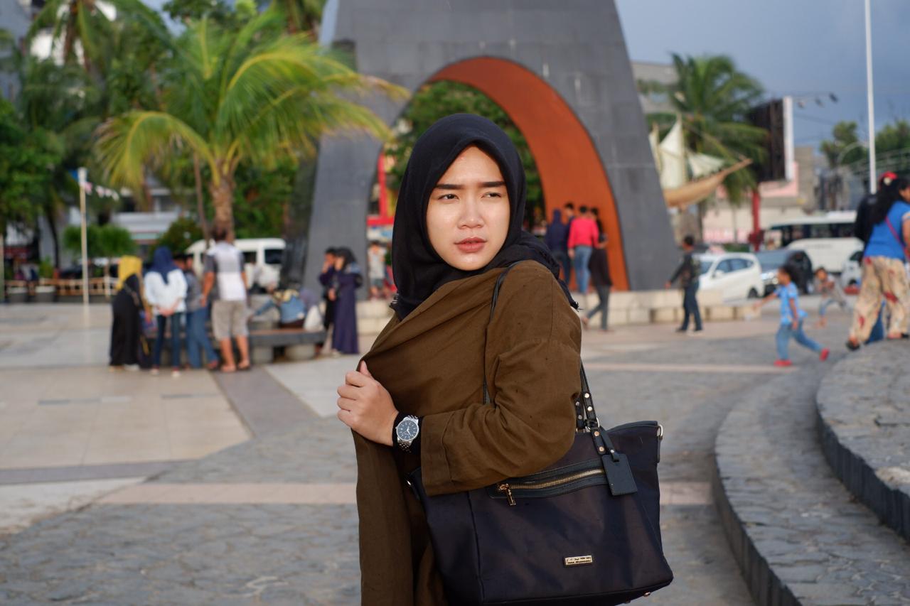 Initiatives related to Defense Equipment and Technology in Indonesia