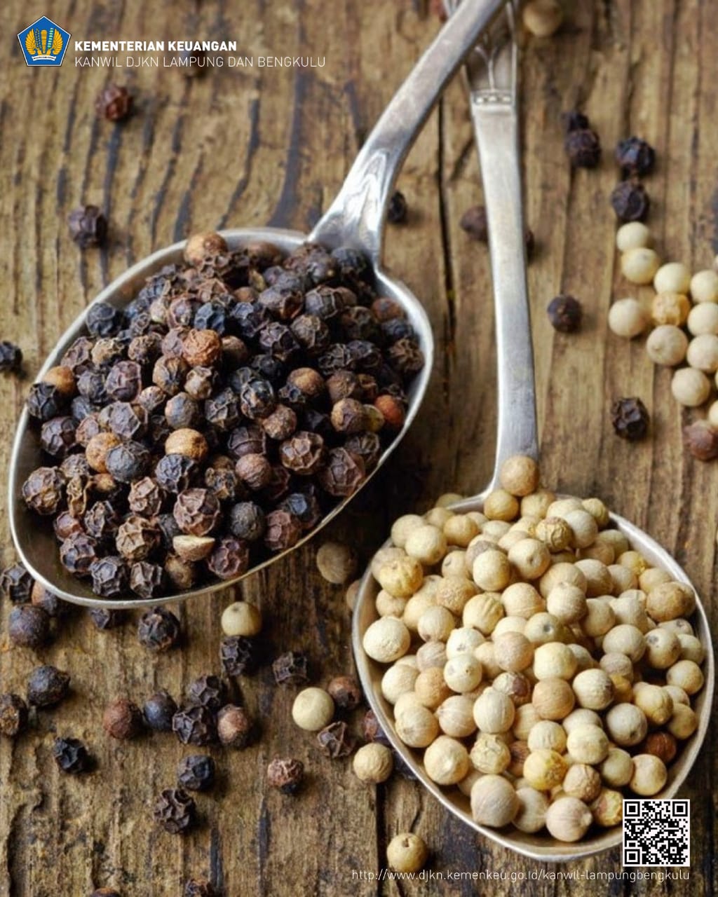 Tanoh Lampung Tanoh Lado