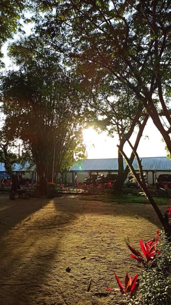 Menakar Kesiapan Pemerintah Daerah dalam Asuransi BMD