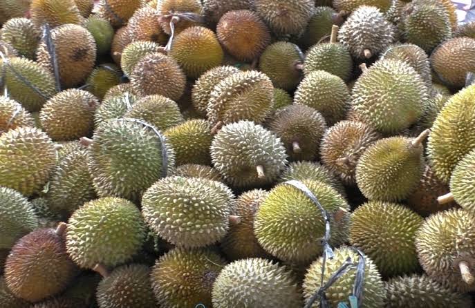 Gule Jruek Drien, Olahan Durian Khas Pesisir Barat Aceh