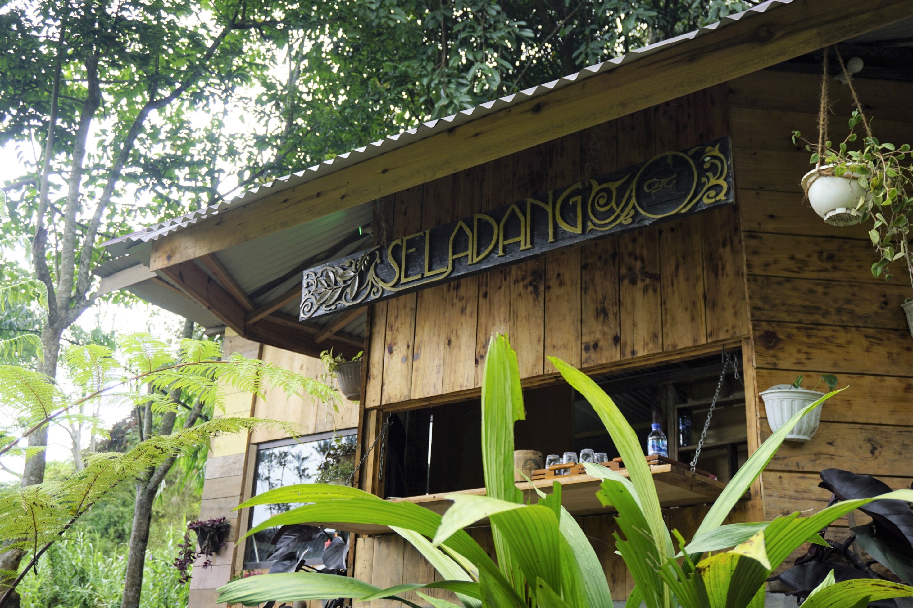 Ngopi di Kebun Kopi Seladang