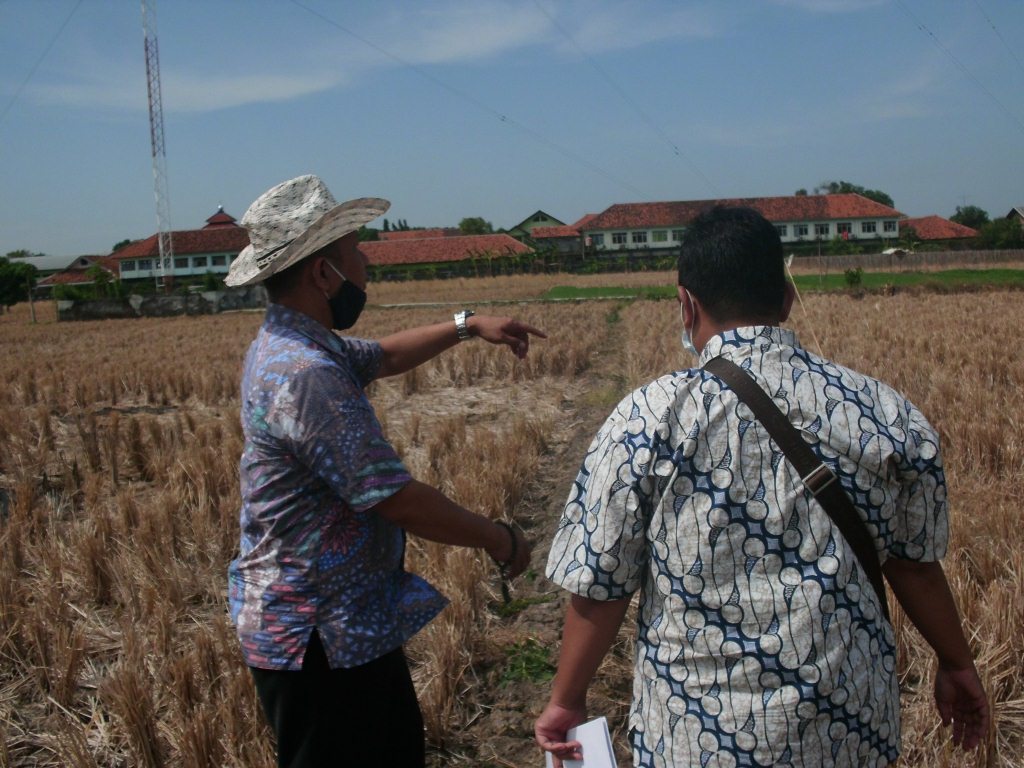 Faktor Utama Dan Faktor Khusus, Yang Perlu Dipertimbangkan Dalam Penilaian Tanah Pertanian