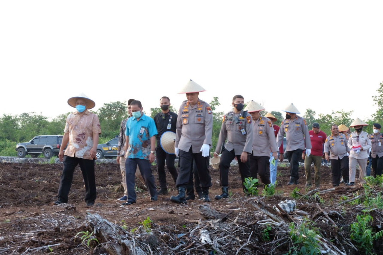 Panen Perdana pada Lahan Polda Riau yang Telah Dimanfaatkan 