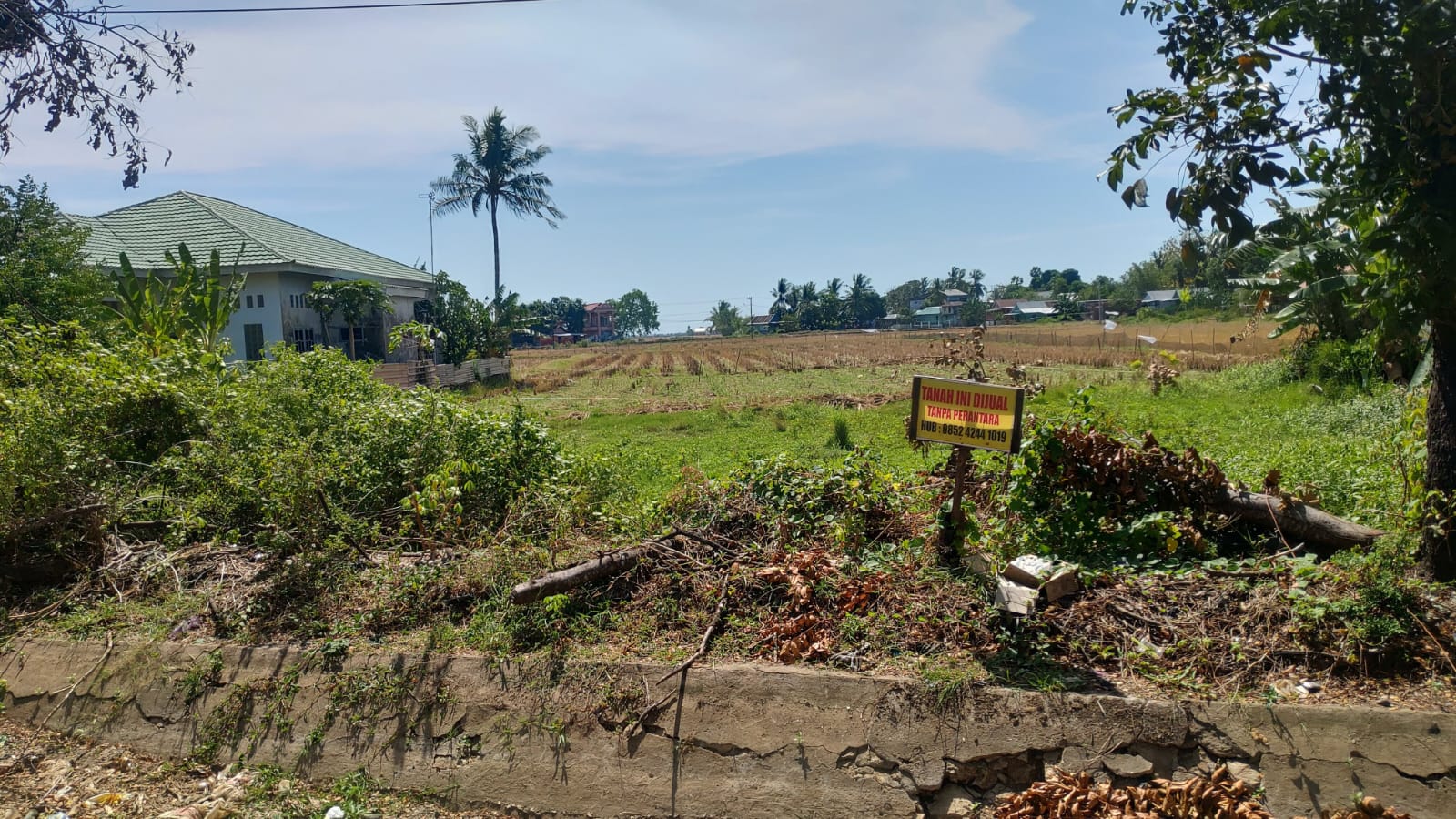 Asas Tunai dan Terang Dalam Jual Beli Tanah