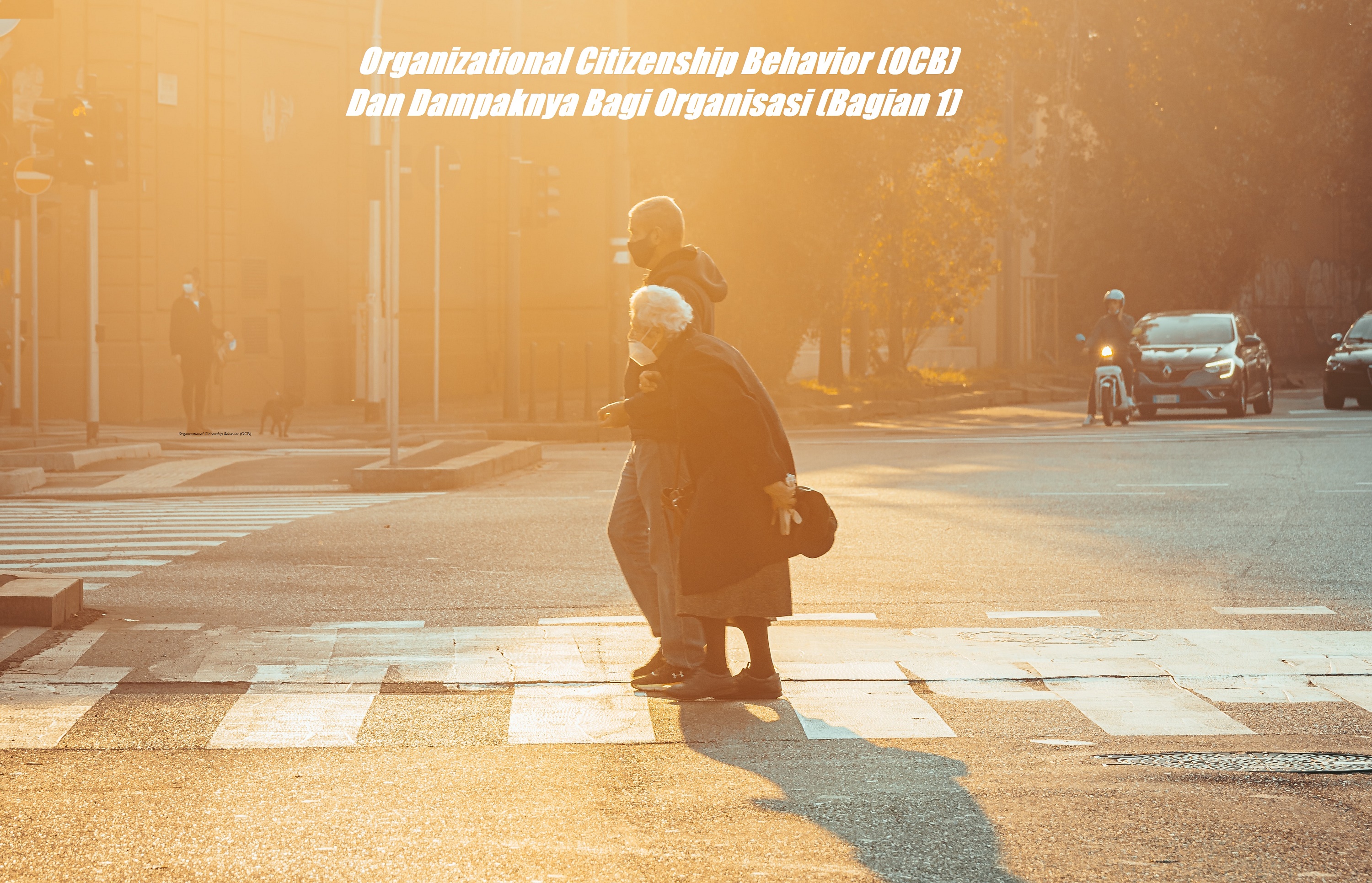 OCB dan Dampaknya Bagi Organisasi (Bagian 1)