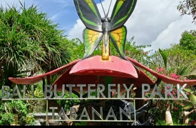 Bali Butterfly Park, Eduwisata Spesies Kupu-kupu di Indonesia