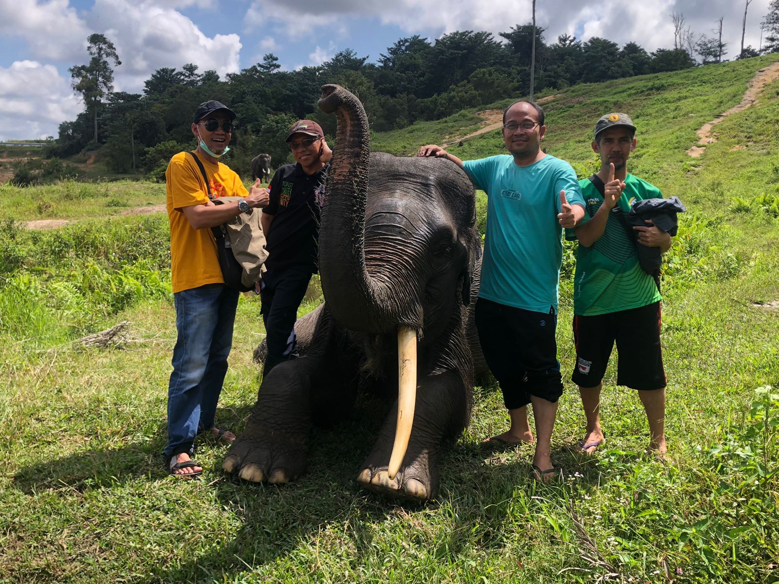 Berkunjung Ke Pusat Konservasi Gajah di Riau