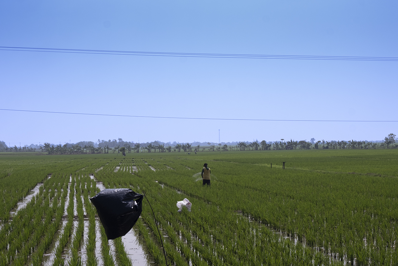 Profil Wilayah Kerja KPKNL Purwakarta : Kabupaten Karawang