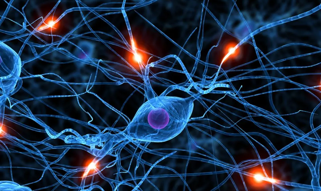 Mengambil Hikmah dari Cara Kerja Artificial Neural Network (ANN): Sebuah Motivasi untuk Terus Menuntut Ilmu