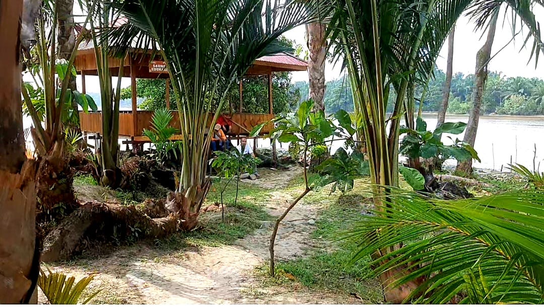 Destinasi Ekowisata Pulau Semut Yang Cantik di Pekanbaru