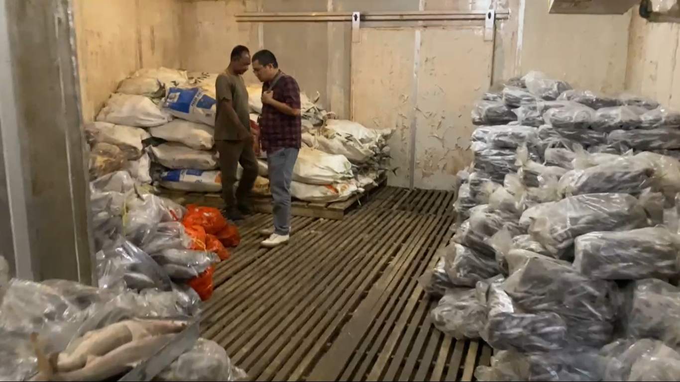 Lelang Ikan di KPKNL Singkawang