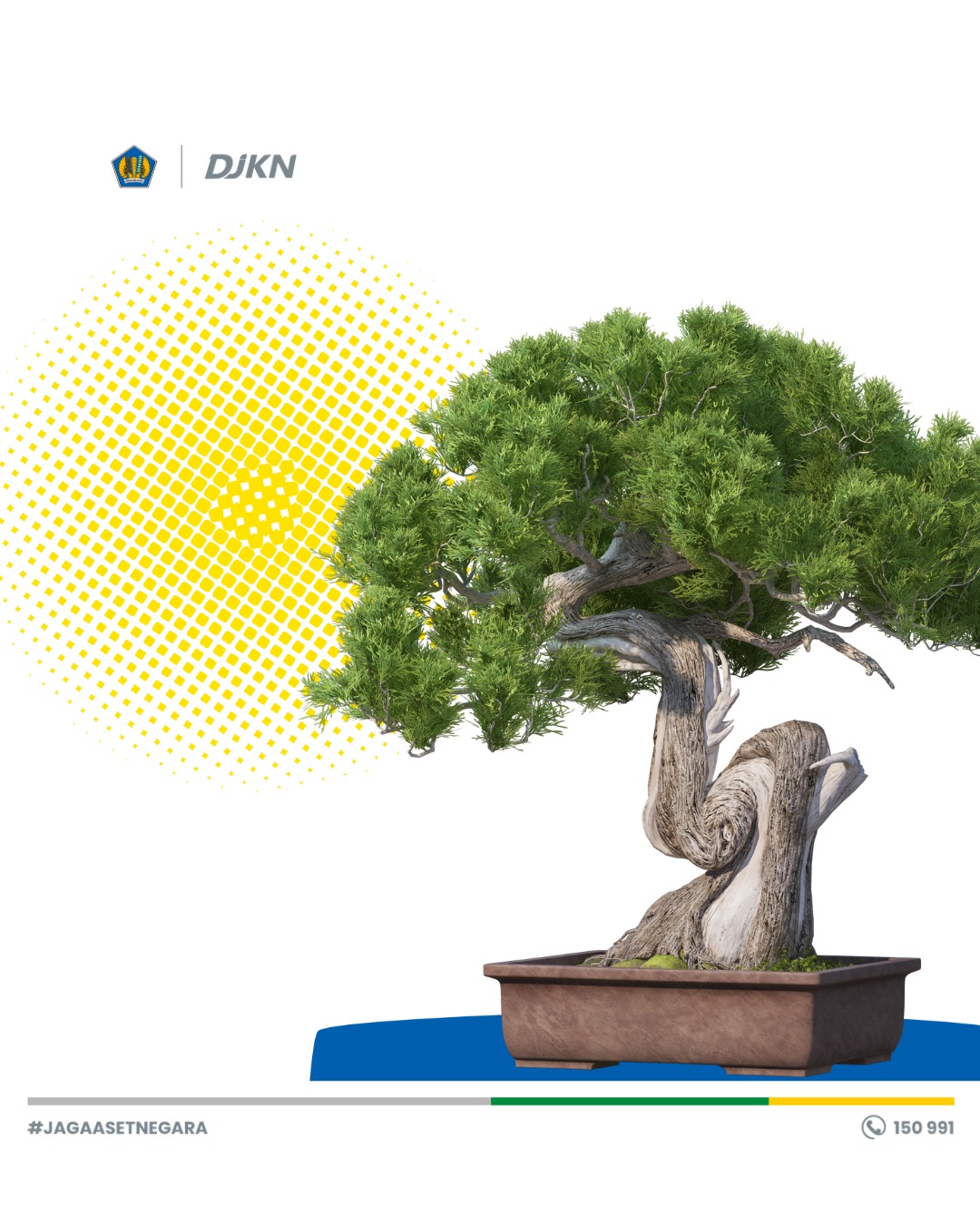 Hobi Bonsai untuk Menerapkan Work Life Balance