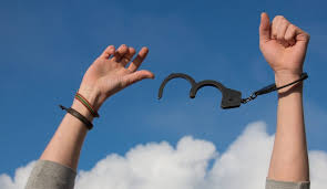 Mewujudkan Impian Financial Freedom: Langkah-Langkah Menuju Kemandirian Keuangan