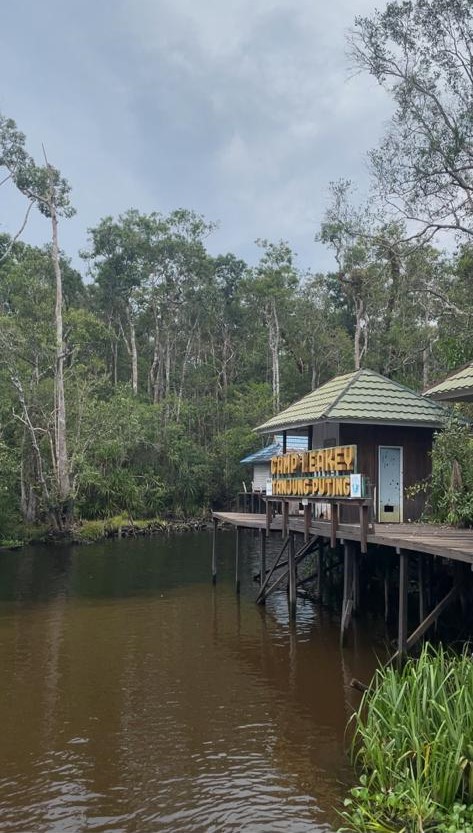 Menilik Fakta Camp Leakey-Taman Nasional Tanjung Puting