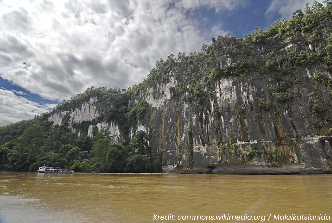 Lelang di Akhir Tahun, Perjuangan Panjang Menuju Perbatasan Negeri 