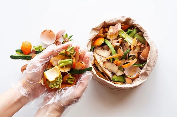 Pemanfaatan Sampah Dapur