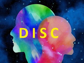 Pentingnya Mengenal Kepribadian (Disc) Dalam Berorganisasi