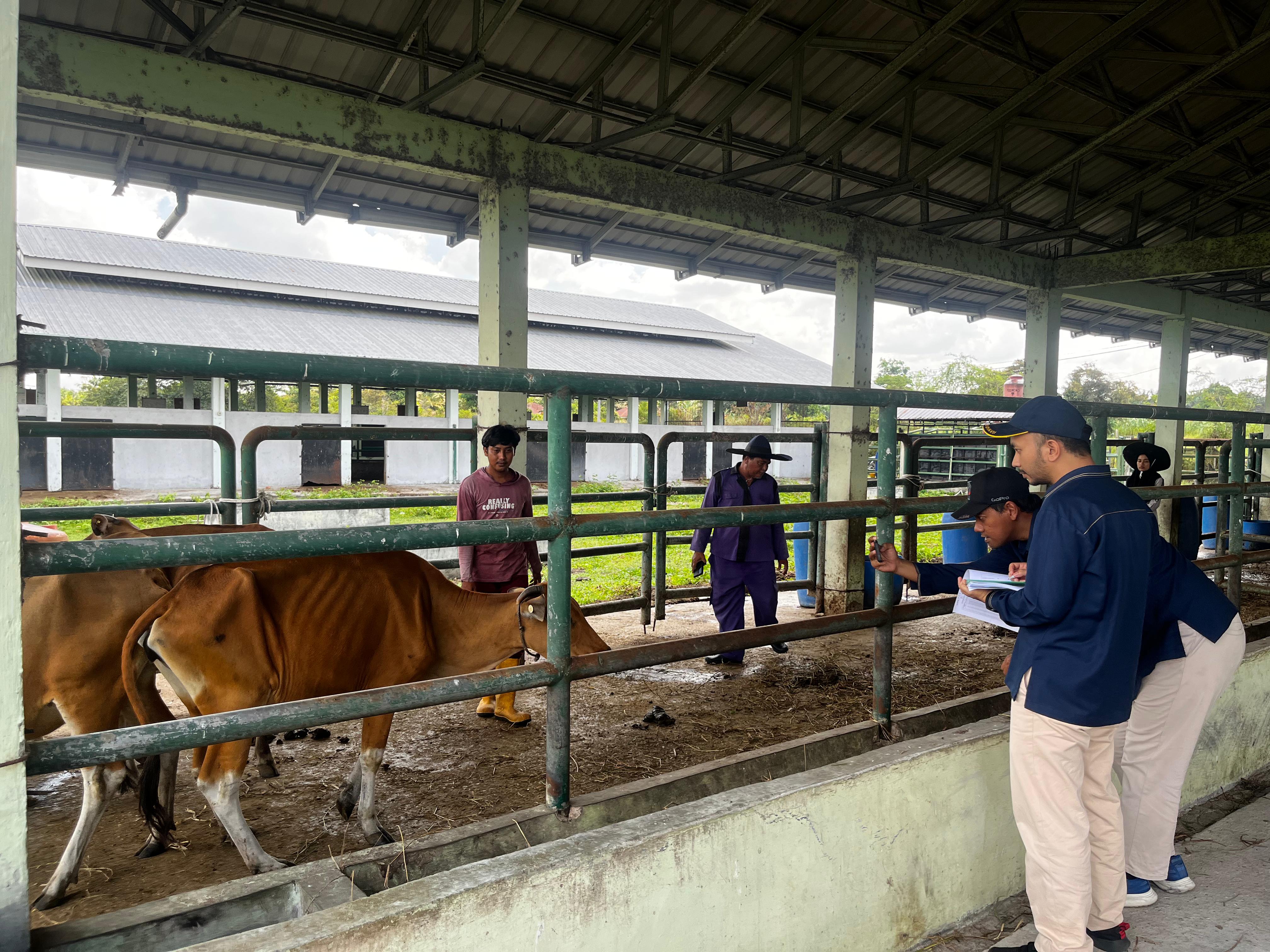 Ikan Mas Ikan Gabus, Demi Akuntabilitas dan Sinergi Yang Bagus