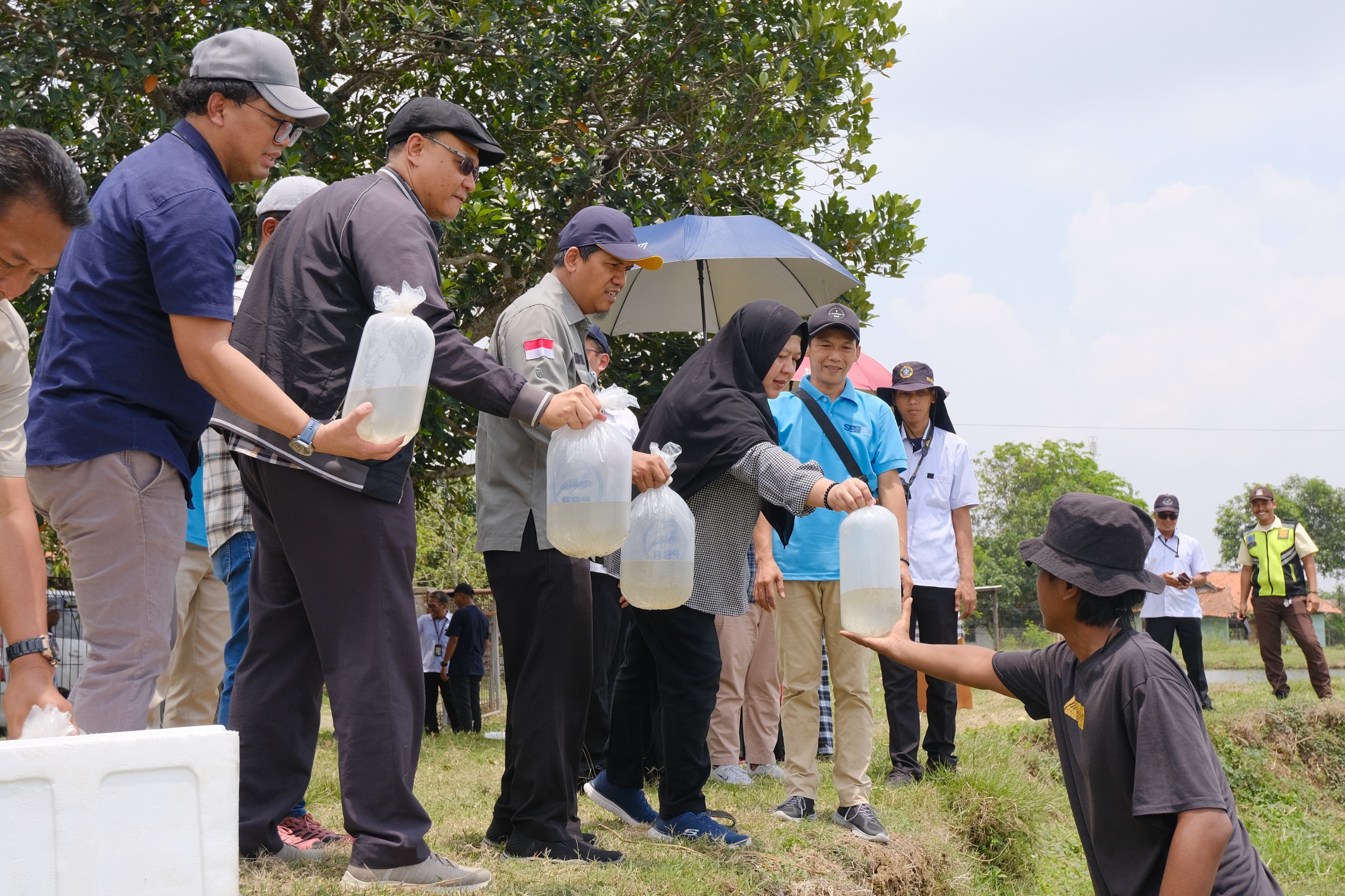 Kunjungan Lapangan KOIN MAS DJKN: Menilai Inovasi Polikultur di BRPI Subang untuk Produktivitas Optimal dan Ketahanan Ekosistem