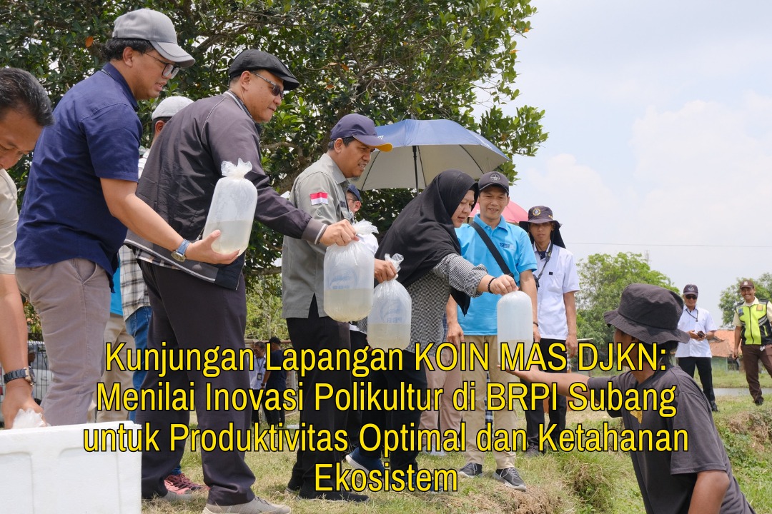 Kunjungan Lapangan KOIN MAS DJKN: Menilai Inovasi Polikultur di BRPI Subang untuk Produktivitas Optimal dan Ketahanan Ekosistem