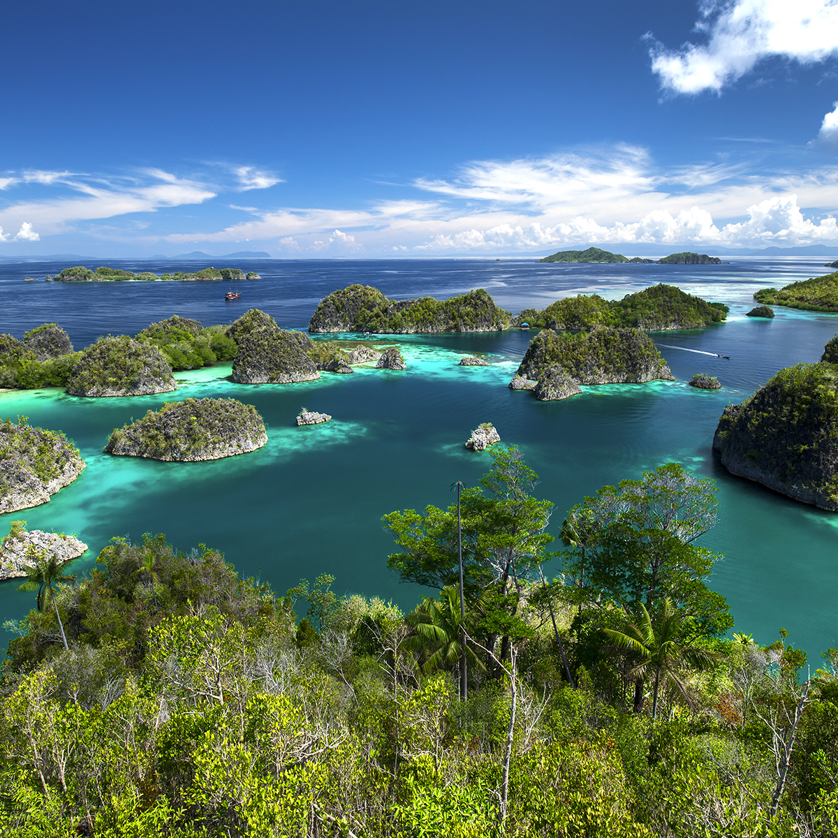 RAJA AMPAT 