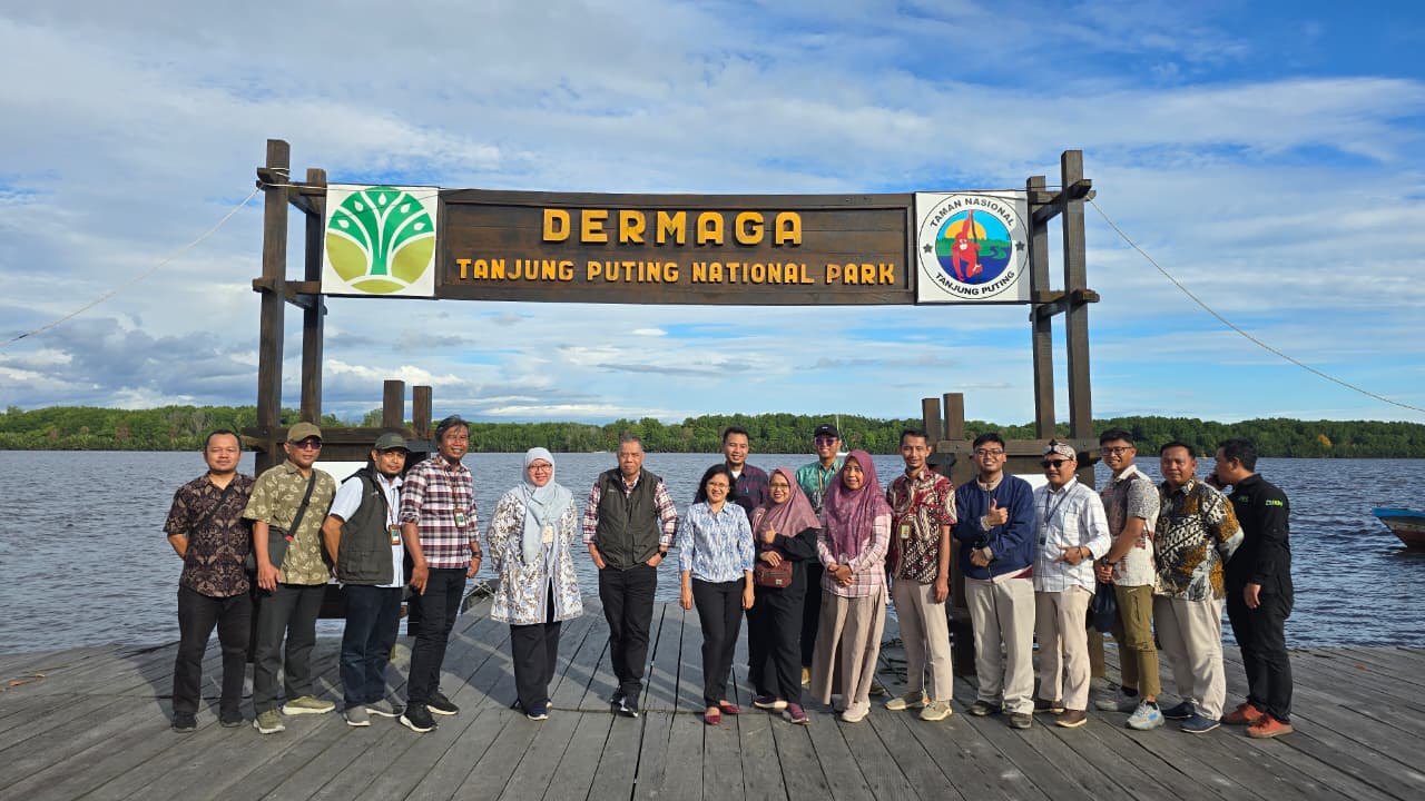 MAGNET DI TANJUNG PUTING