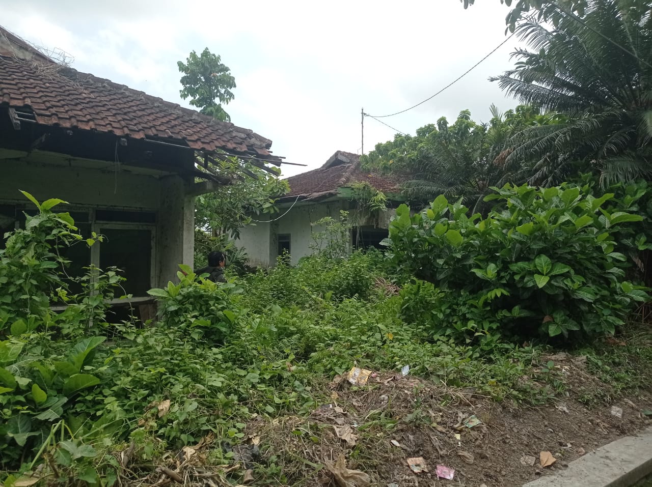 Serah Terima BMN eks BMN Idle kepada Kementerian Agama Kabupaten Jember