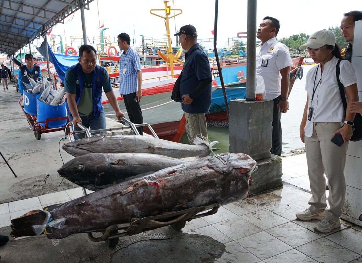 Optimalisasi BMN Cold Storage, Dampak Nyata Bagi Perekonomian Lokal