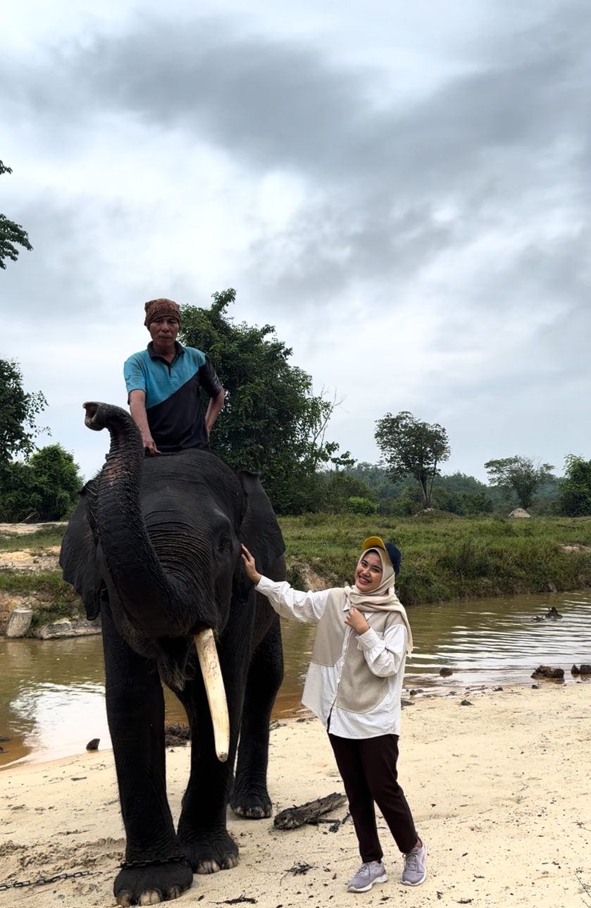 Terowongan Gajah di Tol Pekanbaru&ndash;Dumai, Infrastruktur Negara yang Menjaga Kelestarian Satwa