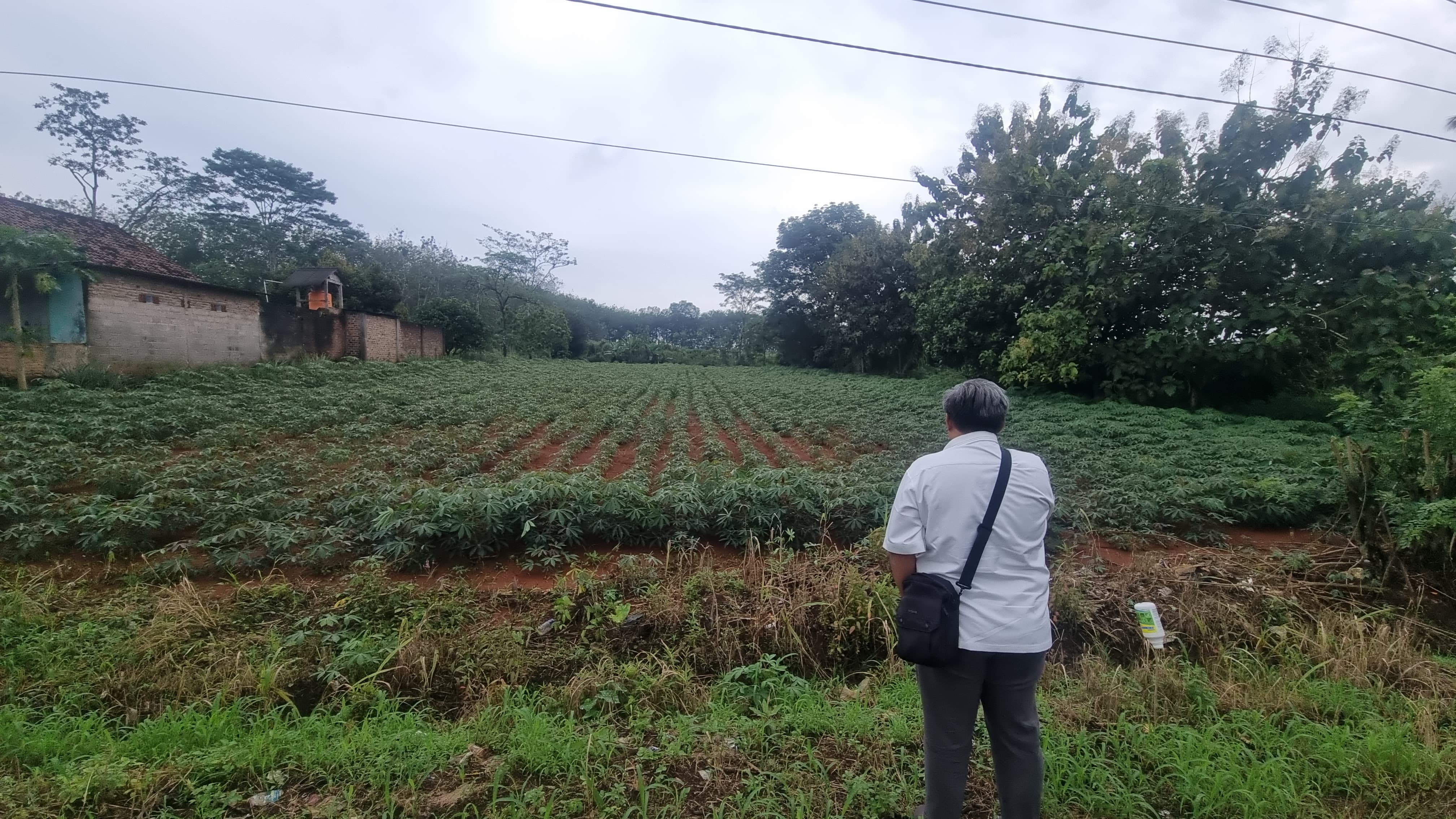 Tim Penilai KPKNL Metro Tuntaskan Survei Lapangan Barang Jaminan di Lampung Utara