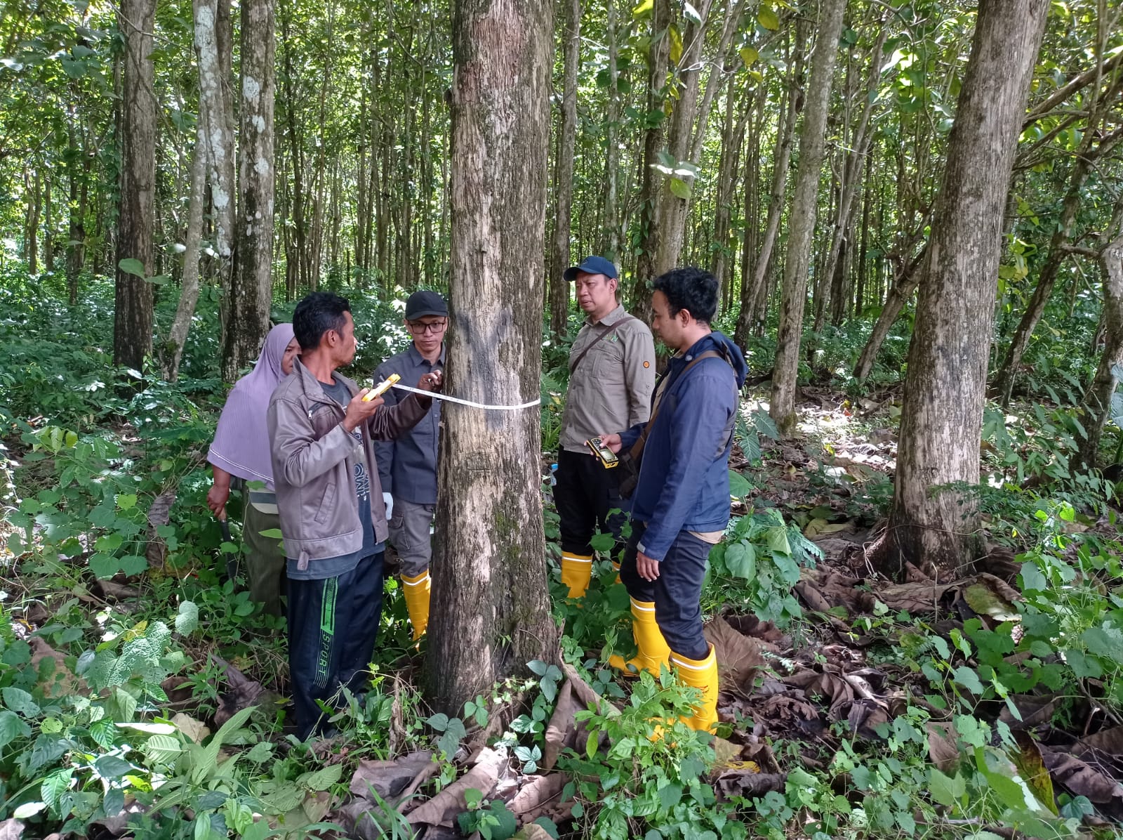 Sinergi Tim Penilai KPKNL Kendari dengan Kanwil DJKN Sulseltrabar dalam Penilaian Barang Jaminan untuk Mendukung Penyelesaian Piutang Negara