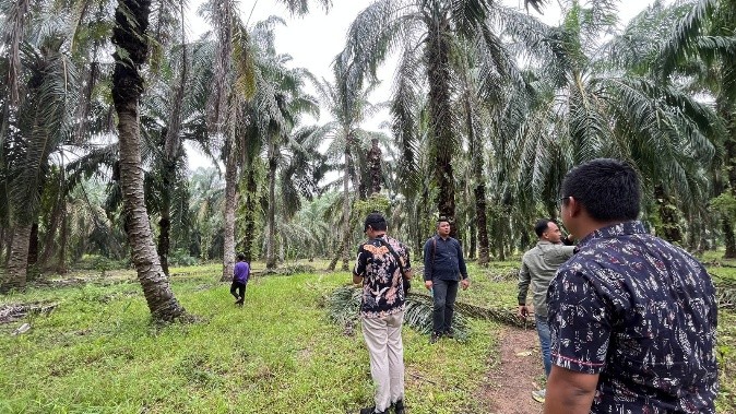 Dukung Optimalisasi Asset Recovery, Kanwil DJKN Sumut Lakukan Penilaian Barang Rampasan Negara di Labuhanbatu Selatan