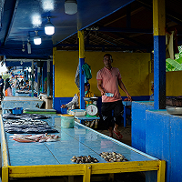 Program PEN - Dukung Penjual Ikan Pantai Ujung Blang di Kota Lhokseumawe