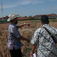 Faktor Utama Dan Faktor Khusus, Yang Perlu Dipertimbangkan Dalam Penilaian Tanah Pertanian