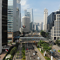 Should Government (DGSAM) Participate in the Leased Asset Market? - An Opinion