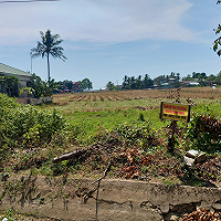 Asas Tunai dan Terang Dalam Jual Beli Tanah