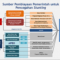 Pendanaan Program Penurunan Stunting