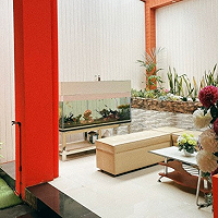 Manfaat Tempat Kerja yang Fleksibel
