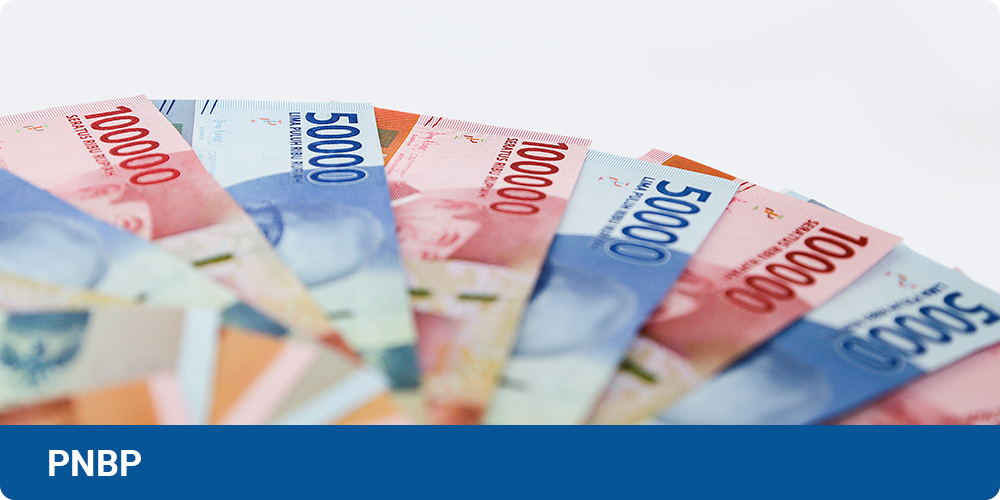 PNBP